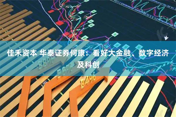 佳禾资本 华泰证券何康：看好大金融、数字经济及科创