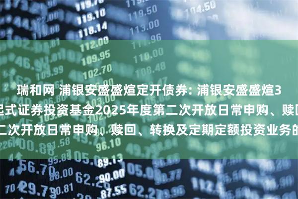 瑞和网 浦银安盛盛煊定开债券: 浦银安盛盛煊3个月定期开放债券型发起式证券投资基金2025年度第二次开放日常申购、赎回、转换及定期定额投资业务的公告