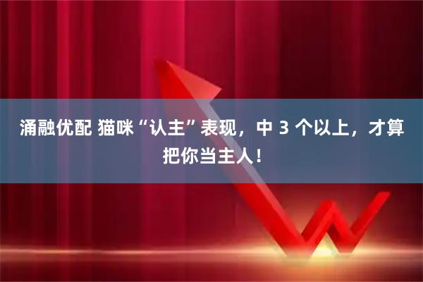 涌融优配 猫咪“认主”表现,中 3 个以上,才算把你当主人!