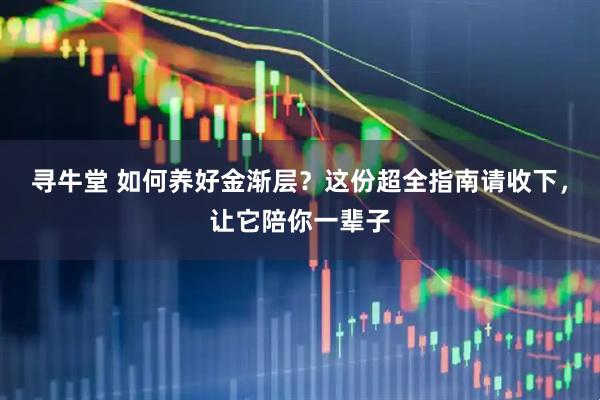寻牛堂 如何养好金渐层？这份超全指南请收下，让它陪你一辈子