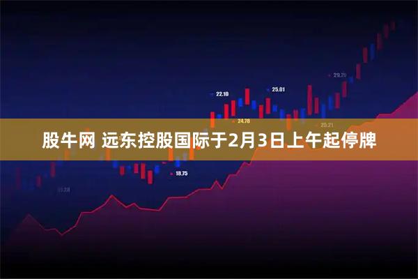 股牛网 远东控股国际于2月3日上午起停牌